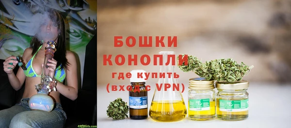 СК Медвежьегорск