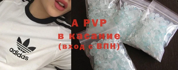 СК Медвежьегорск