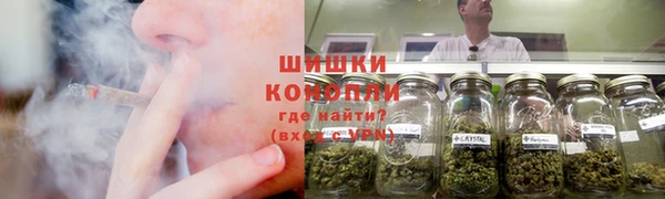 молекула духа Медногорск