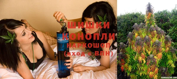 СК Медвежьегорск