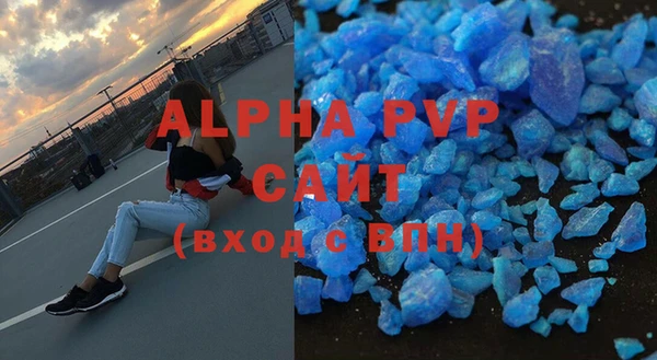 сатива Горняк